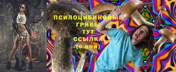 PSILOCYBIN Арсеньев