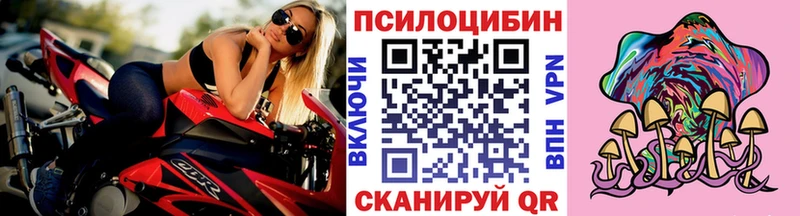 Купить где  Фатеж  Псилоцибиновые грибы мицелий 